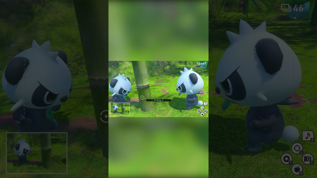 【Newポケモンスナップ NEW POKÉMON SNAP】ヤンチャムが謎の遊びで白熱してる #shorts