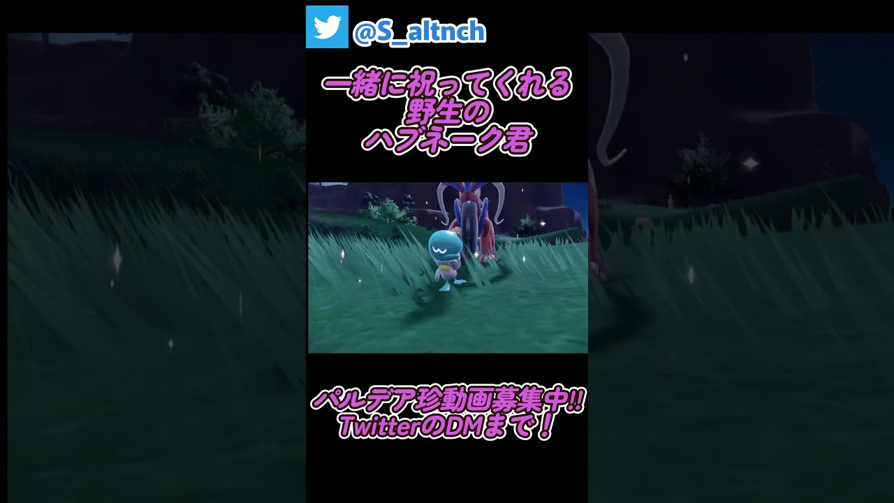 かわいいハブネーク君#shorts