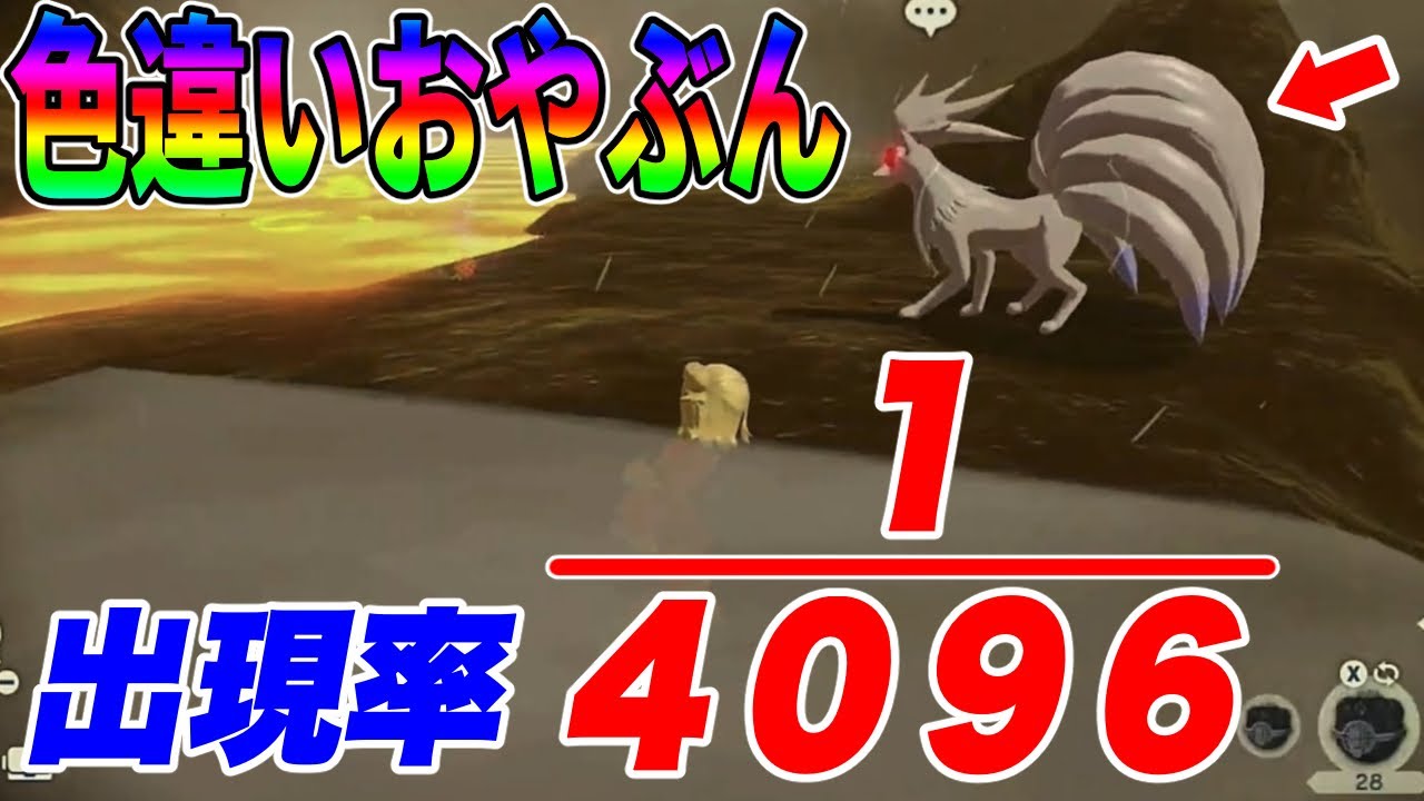 【レジェンズアルセウス】おやぶん色違いキュウコンに遭遇で大興奮！