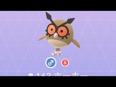 Pokémon GO 163 ホーホー