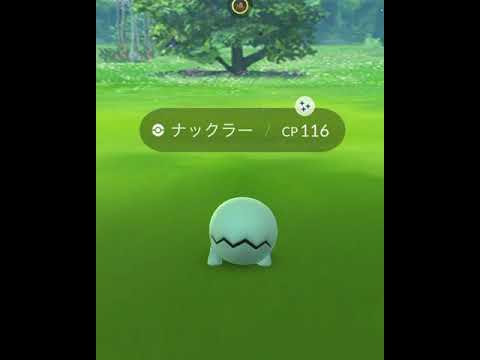 色違いナックラー出現！