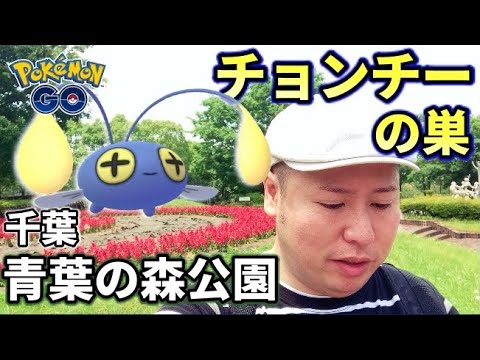 チョンチーの巣！青葉の森公園で1日色違い探したらゲットできるのか実際にやってみました！【ポケモンGO】