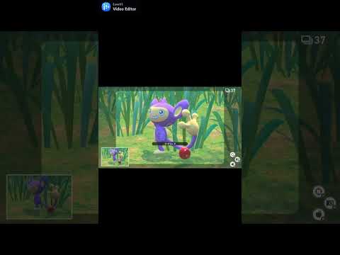 #10 ポケモンスナップ　アーボックが撮れました～。