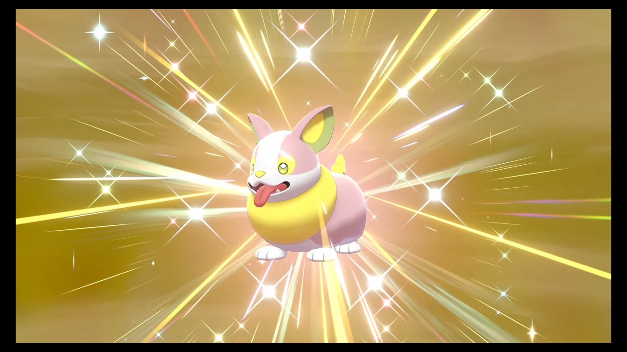 【ポケモン剣盾】色違いのワンパチ！パルスワンに進化させたくない・・・