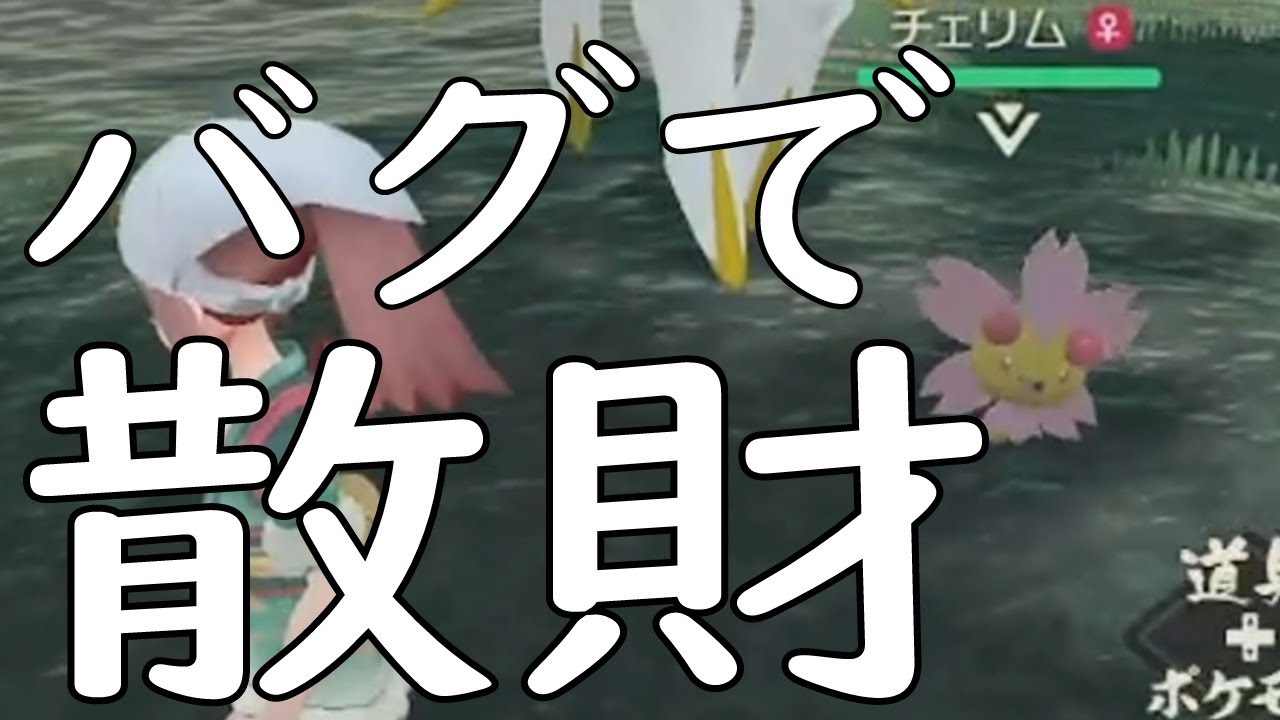 （知らずに検証）チェリムのバグで散財してしまった件【ポケモンレジェンズアルセウス】ボイスロイドVOICEROID実況