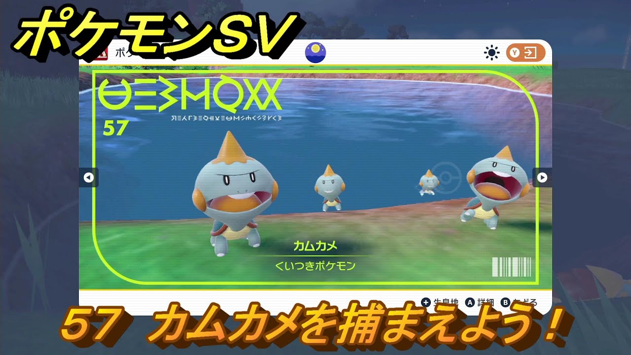 ポケモンＳＶ　カムカメの生息地は？図鑑No.５７　おすすめ場所紹介！ポケモン図鑑を完成させよう！　【ポケモンバイオレット・スカーレット】
