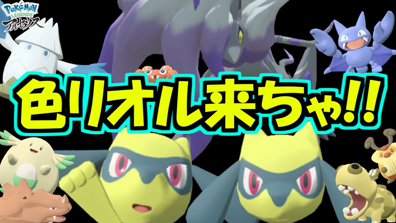 色違いリオル2回来たぁぁぁぁぁ！！！！！ 計10匹色違いゲットだぜ！ 【Pokémon LEGENDS アルセウス 】