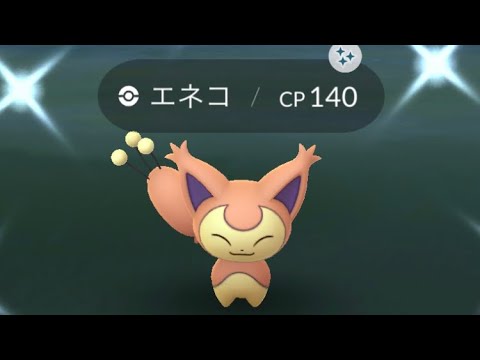 【ポケモンGO】エネコの色違いだ！ #shorts