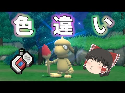 【ポケモンBDSP】捕獲で活躍ドーブルの色違い！【ゆっくり実況】