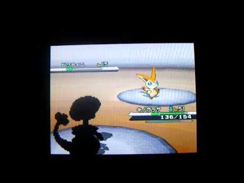 ポケモンブラック　ビクティニゲット♪
