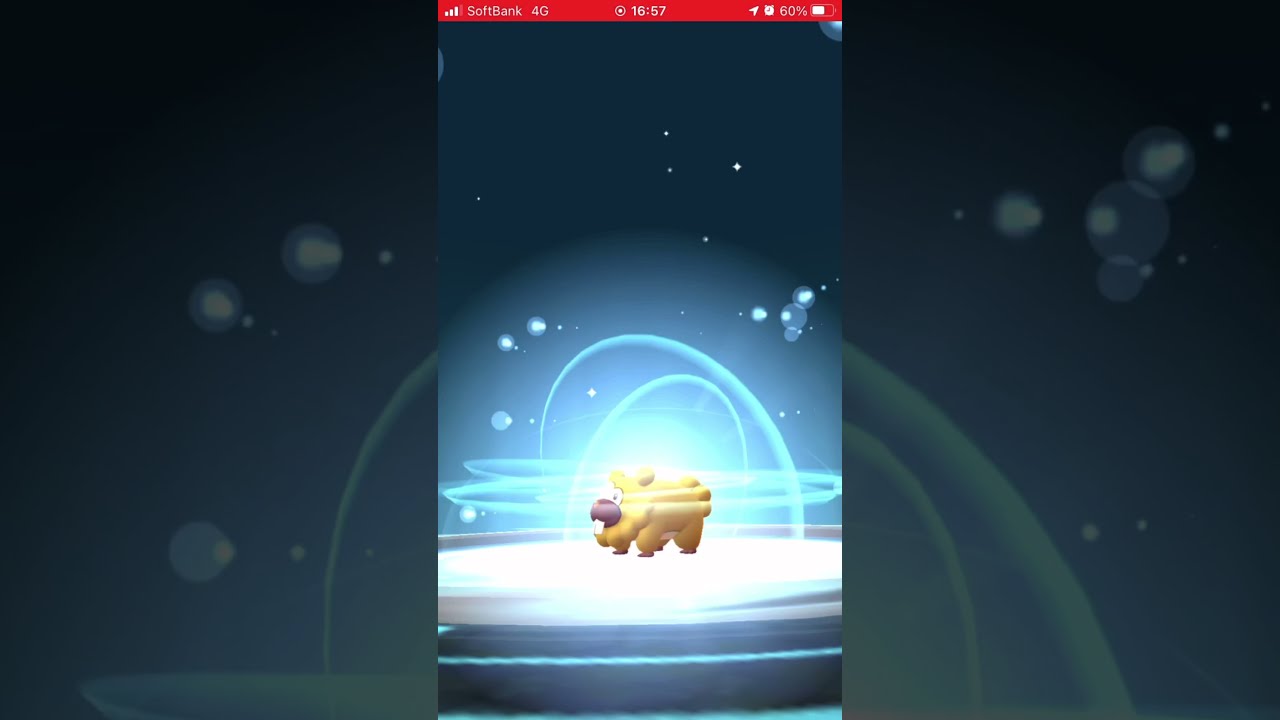 ポケモンGO 色違いビッパ進化させるよー！　ビーダルになるよ！