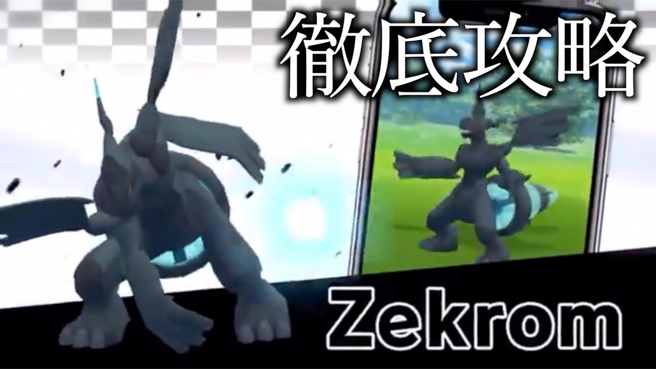 今のうちに準備必須！最強のゼクロム対策！【ポケモンGO】