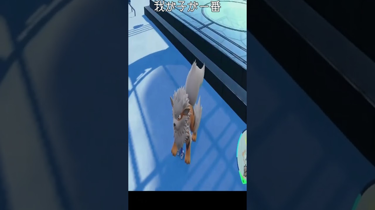 【ポケモンSV】初めてガーディの進化を見た時の反応【ガーディ】