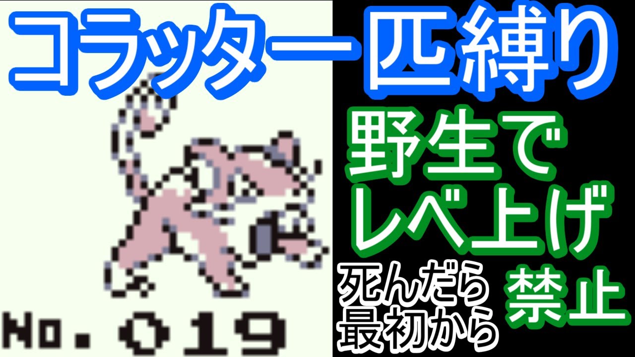 ポケモン青　コラッタ1匹で全クリ目指す配信【縛りプレイ】