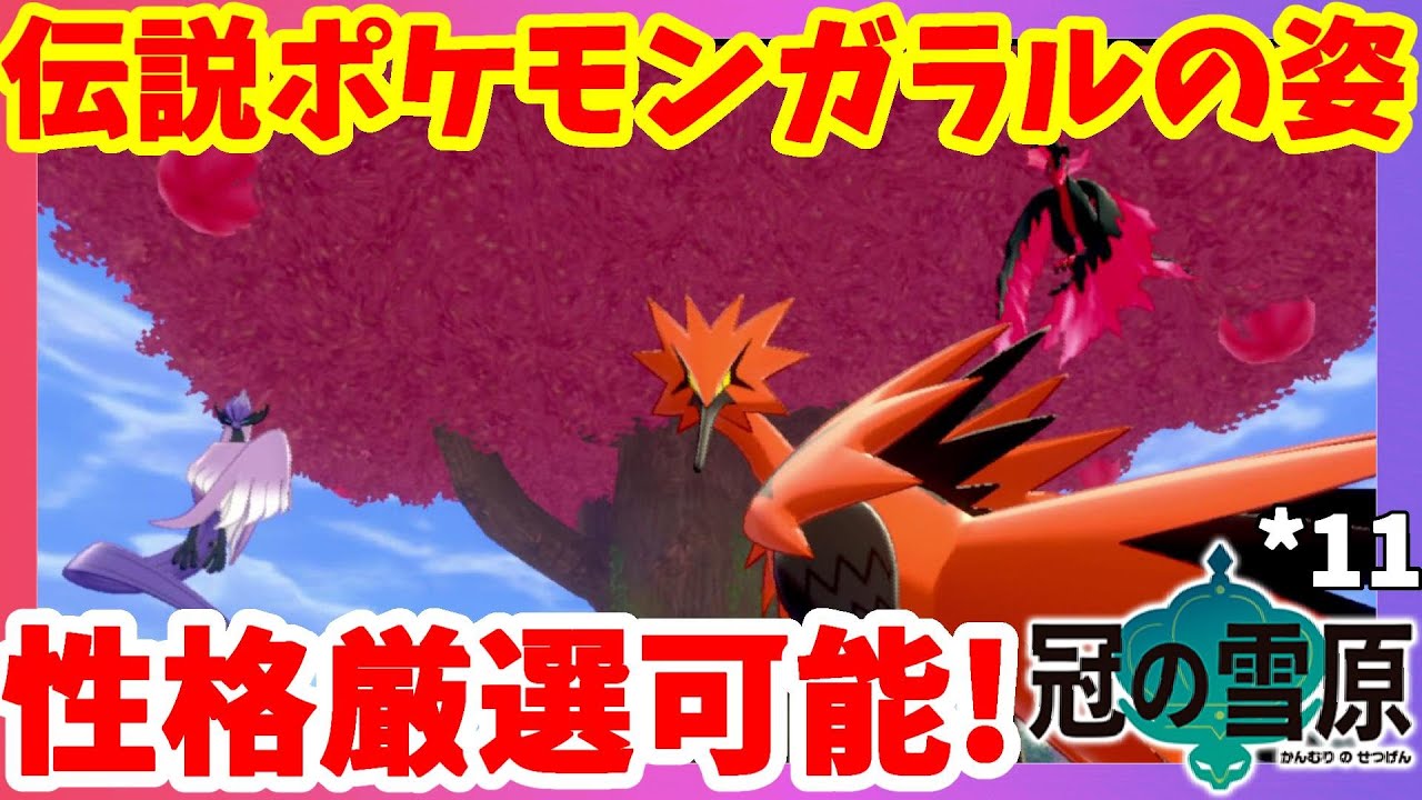 【ポケモンソードシールド】伝説の三鳥ガラルの姿は性格厳選可能！ガラルサンダーをプレミアボールでゲットしたい！シールド#11冠の雪原【エキスパンションパス】