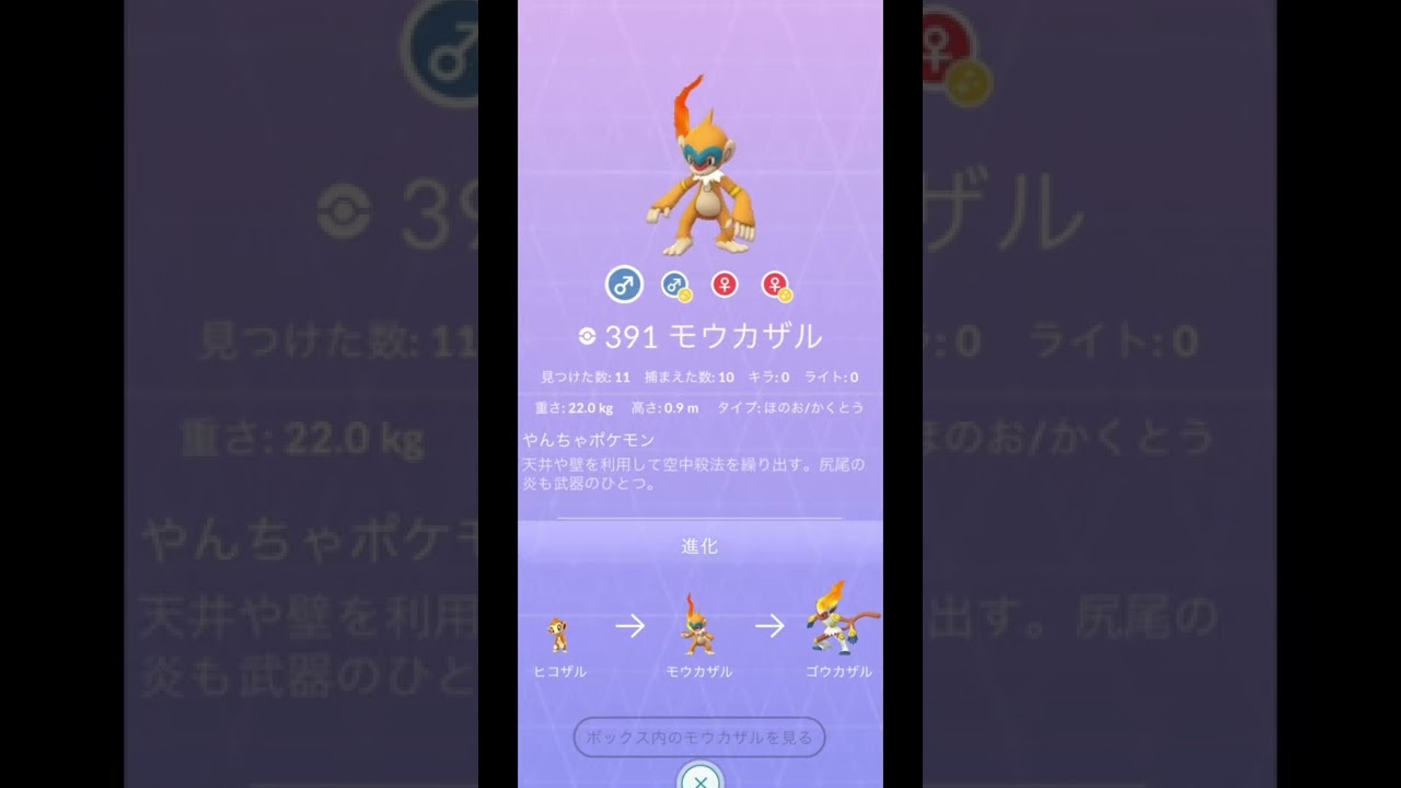 ヒコザル/モウカザル/ゴウカザル色違い【色違いポケモン】レジェンズアルセウス/ダイパリメイク