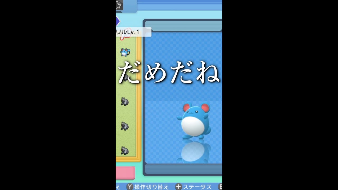 だめだね(マリル)　#shorts【ポケモンBDSP】【ダイパリメイク】