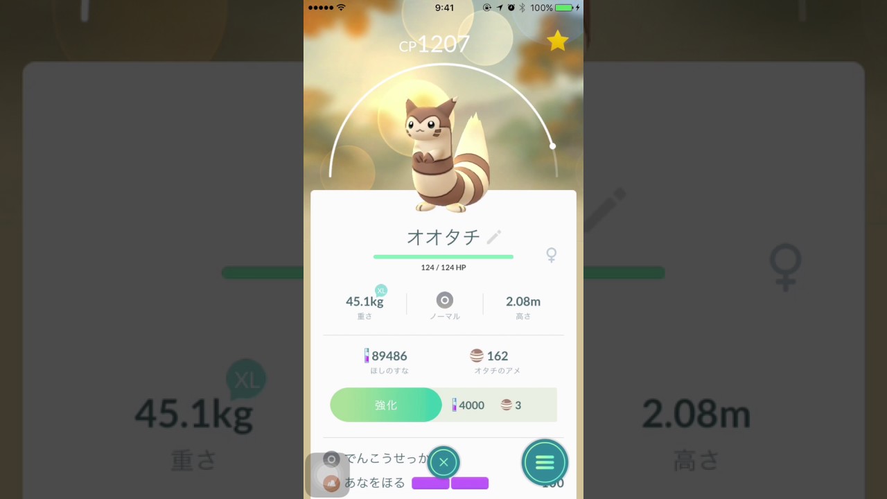 ポケモンGO オオタチがかわいすぎる