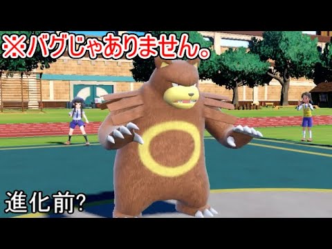 何故か「しんかのきせき」という壊れアイテムが使える「リングマ」がヤバすぎる。【ポケモンSV実況】