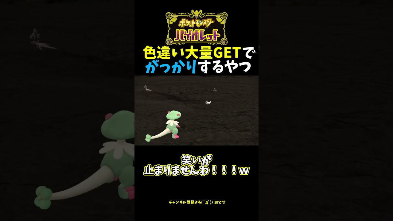 【ポケモンSV】短時間で色違い大量出現したのにがっかりする瞬間