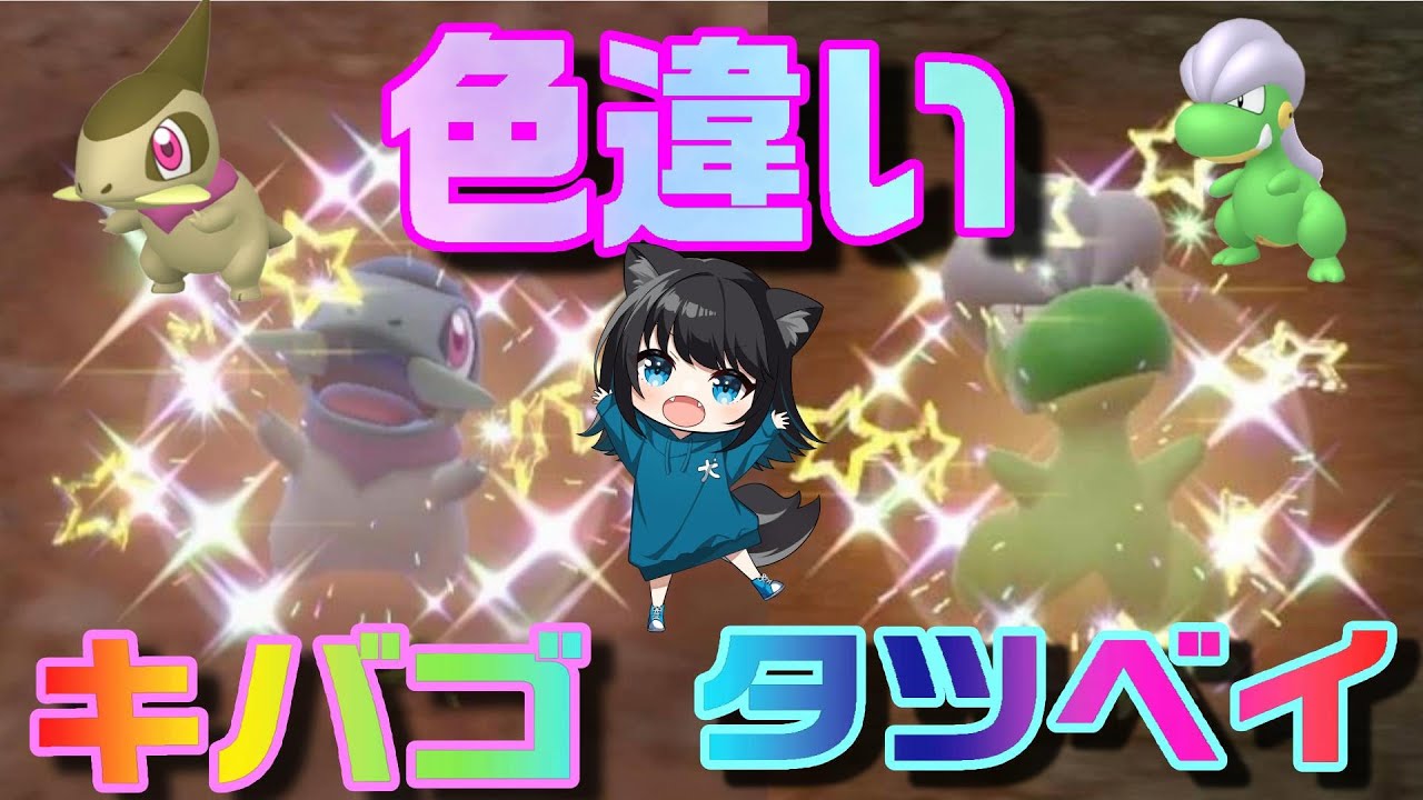 【ポケモンSV】【色違い】キバゴとタツベイ可愛い！