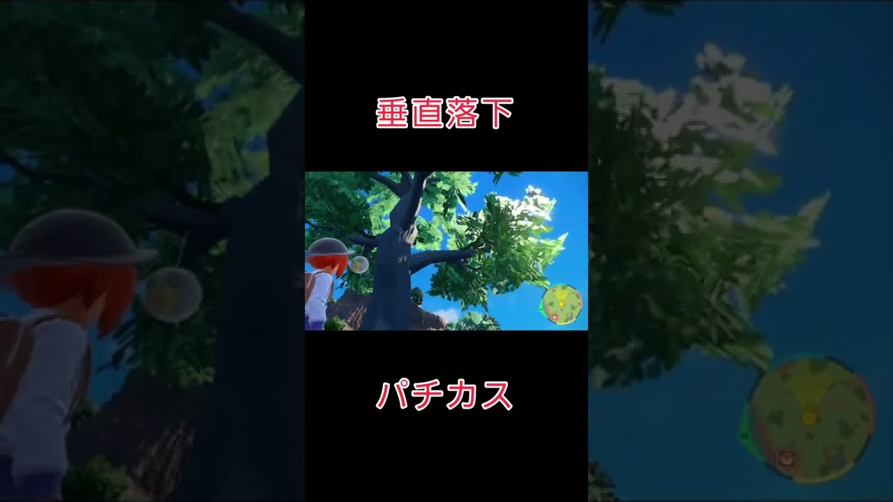 木から垂直落下で落ちるパチリスさん【ポケモンSV ポケモンスカーレット/バイオレット】 #shorts #pokemonscarlet  #pokemonviolet