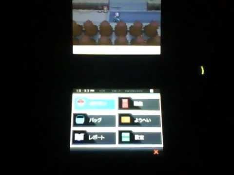 ポケットモンスターBW　色違いスバメ誕生vol.2 【国際孵化】