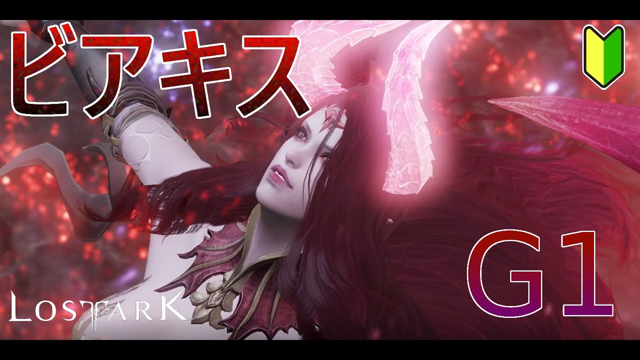 【LOST ARK】モココ印の徹底解説！#16  軍団長レイド　ビアキス　G1【ロストアーク】