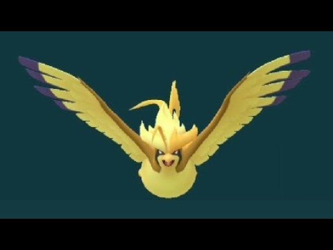 【ポケモンGo】メガピジョット実装