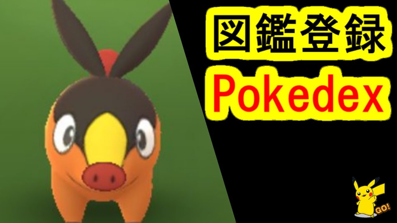 ポカブ捕獲入手でポケモンGO図鑑登録