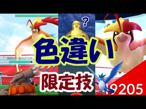 【ポケモンGO】メガピジョットのレイド開始！〇〇から色違いピジョット登場！〇〇は限定技を覚えている【メガレイド＆伝説レイド】