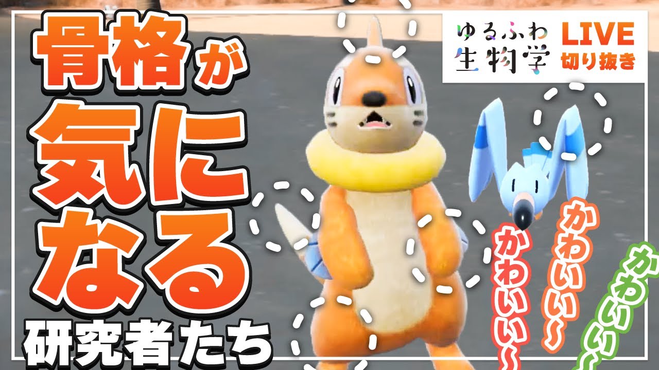 【ポケモンSV】ブイゼルの骨格が気になる生物学者たち【考察】