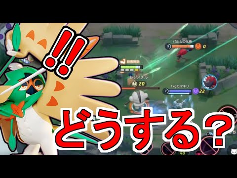 もったいないのはユナイトか？命か？/Mattyのポケユナ日記#222   ポケモンユナイト】#ジュナイパー