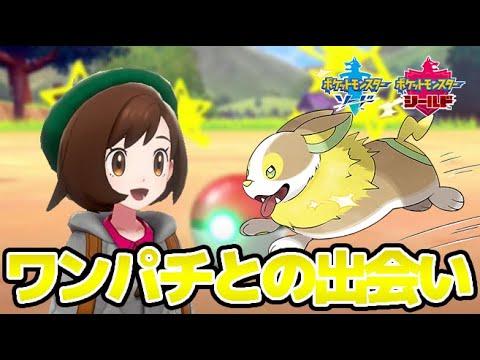 ワンパチとの出会い #Shorts【ポケモン剣盾 ポケセン禁止縛り】