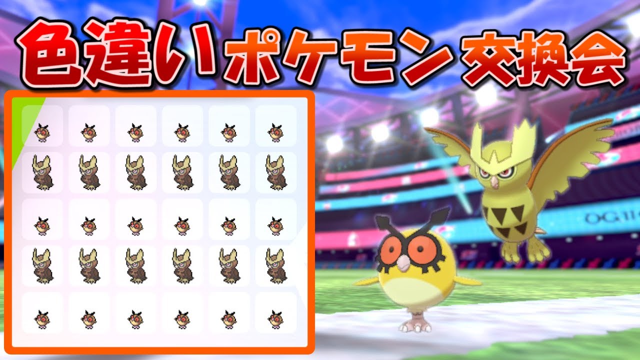 【ポケモン剣盾】色違いポケモン交換会/ホーホー,ヨルノズク【HALヤツ】
