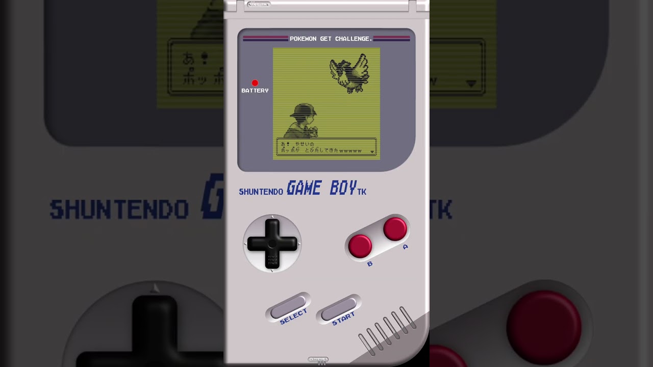 【ポケモン】ポッポ捕獲チャレンジ！/Pidgey capture challenge!