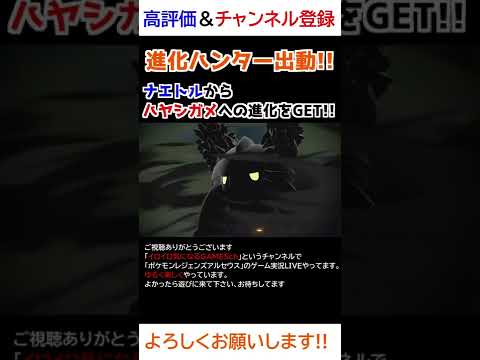 ナエトル→ハヤシガメ進化【Pokémon LEGENDS アルセウス】【進化ハンター】