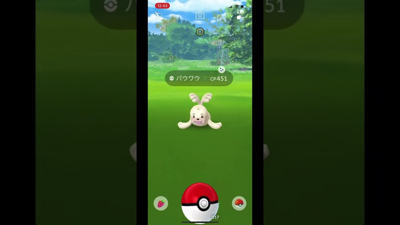 色違いパウワウ現る