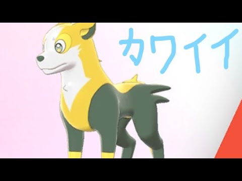 色違いのパルスワンが欲しいので手に入れたい配信