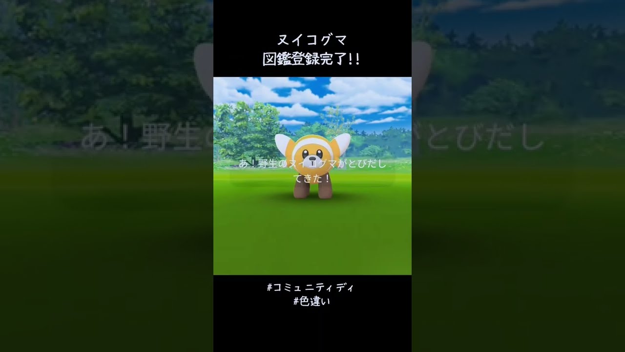 まさかの色違いスタート✨✨✨ヌイコグマ図鑑登録完了✍️ #ポケモンGO #PokemonGOCommunityDay
