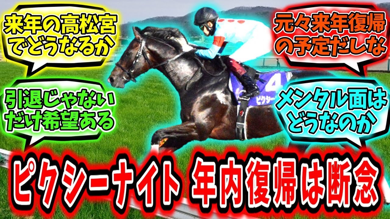『ピクシーナイト年内復帰は断念』に対するみんなの反応