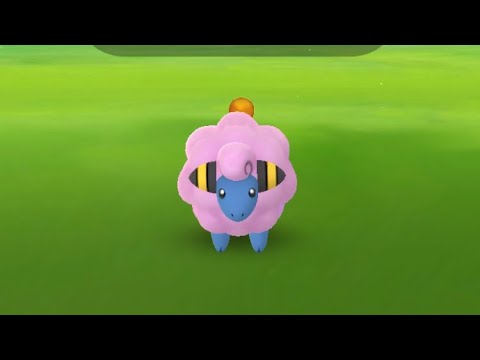 通りすがりのメリープ色違い🎉