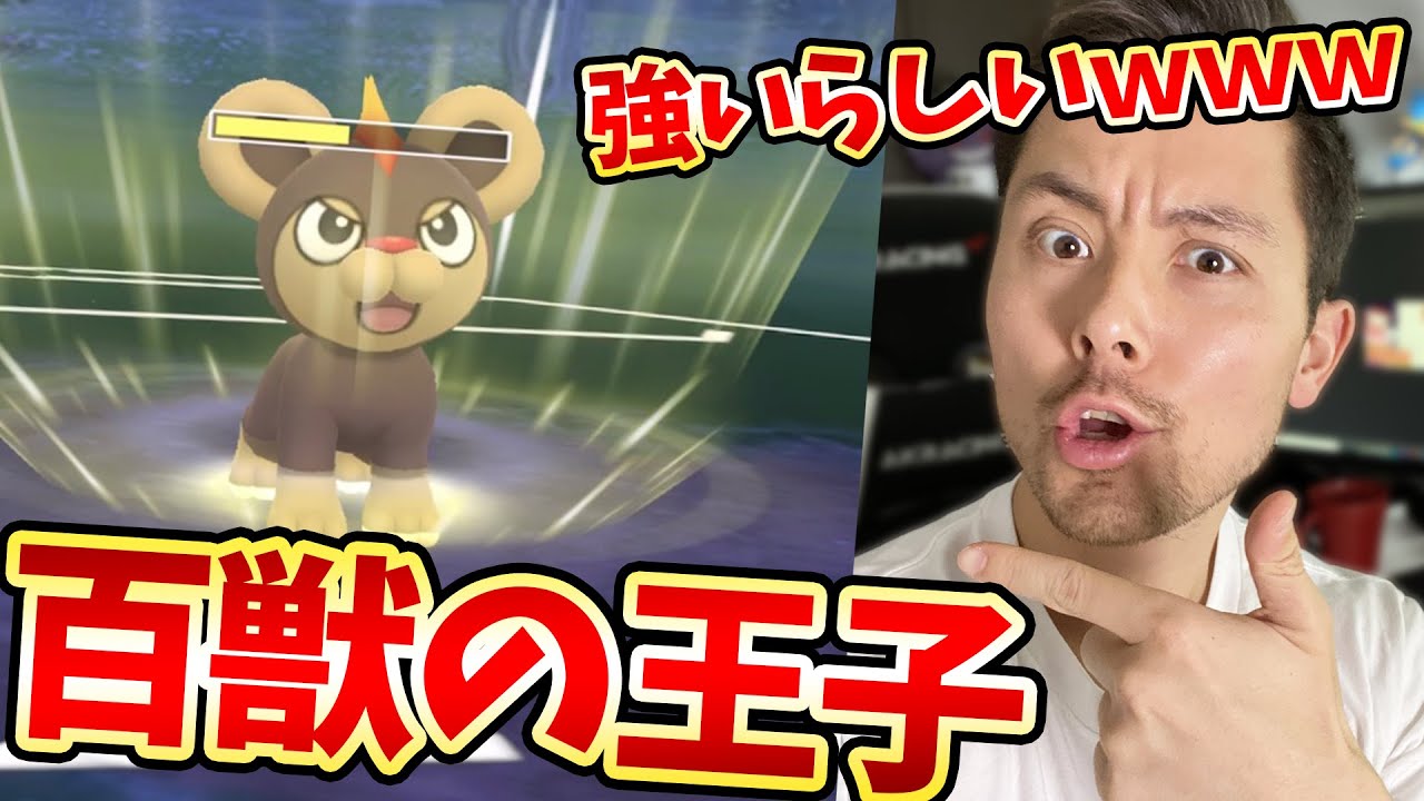 あのシシコが！強いだと！？ホリデーカップを荒らす百獣の王子！？【ポケモンＧＯ】