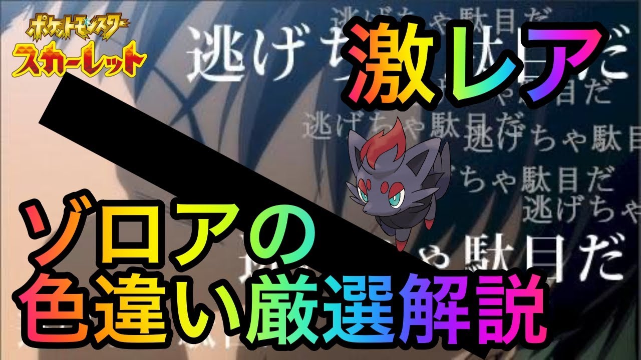 【ポケモンSV】 激レア色違い ゾロアの入手方法解説 プレゼントあり 【色違い厳選】スカーレット バイオレット