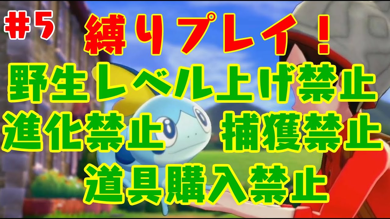 メッソンだけでストーリー攻略【ポケモンソード】