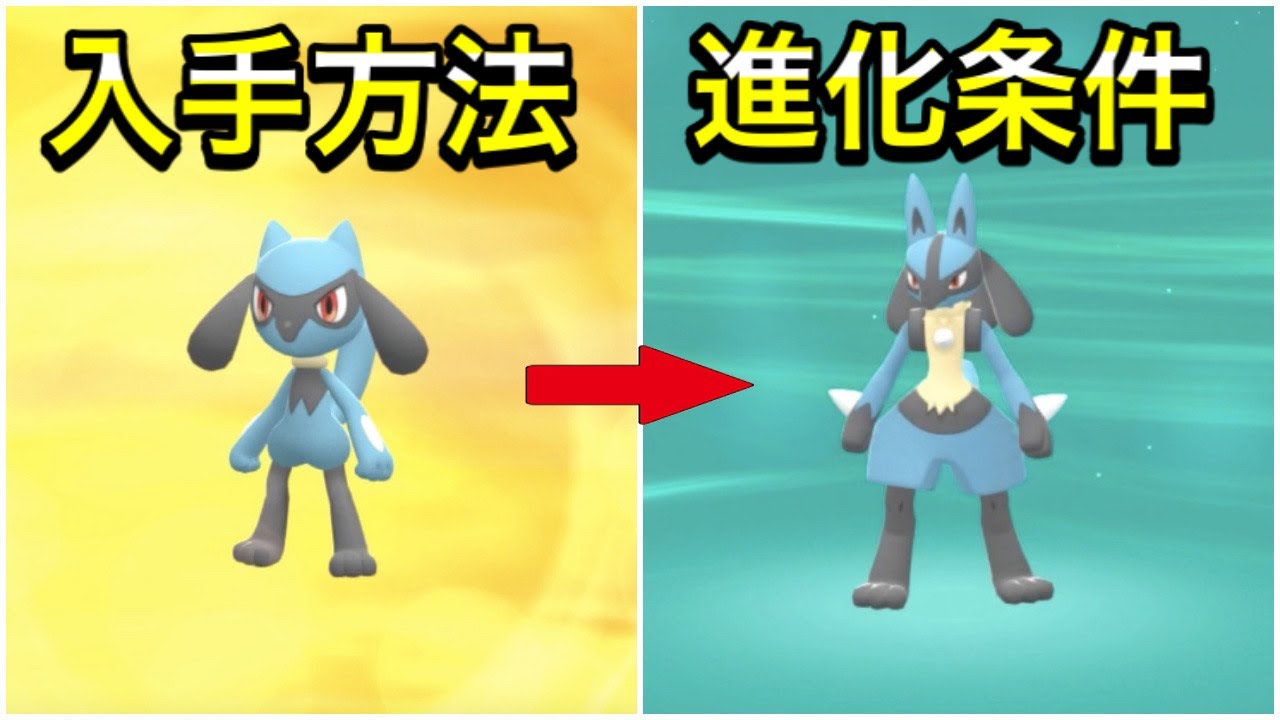 【ダイパリメイク】リオルの入手方法！ルカリオへの進化条件！