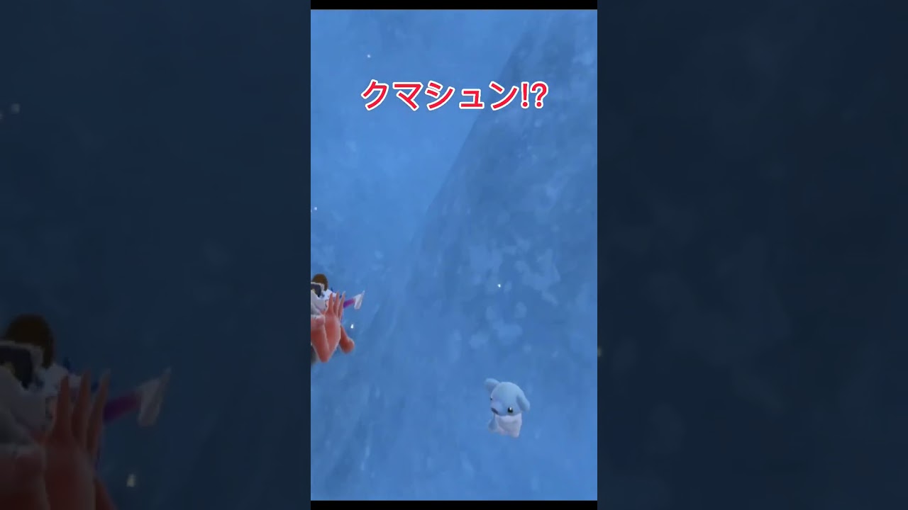 よく滑ったり落ちたりしてるよね【ポケモンSV】【スカーレット】【バイオレット】【クマシュン】【滑り】【くま】【熊】#short