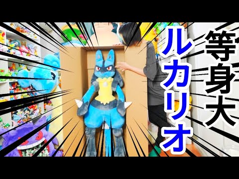 等身大ルカリオぬいぐるみ！！開封！！