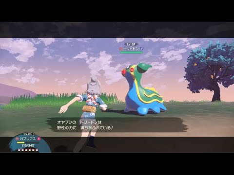 おまわりトリトドン【ポケモンレジェンズ アルセウス】