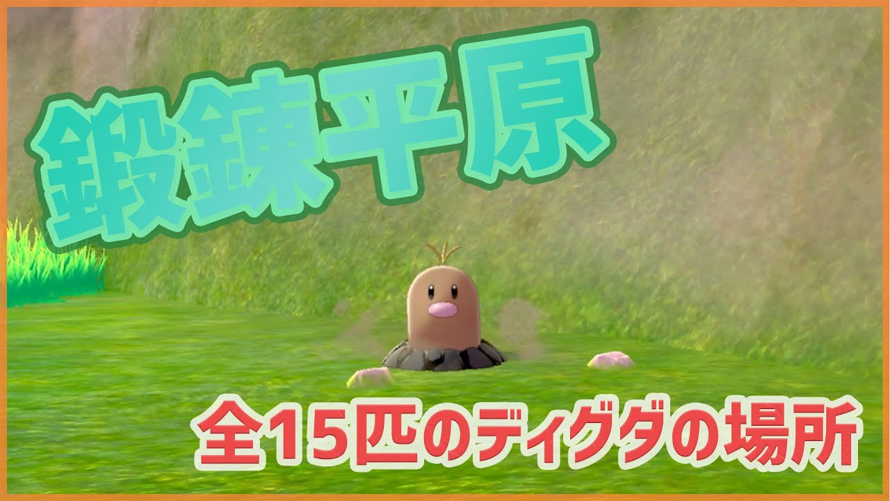 【ポケモンソードシールド】鍛錬平原｜全15匹のディグダの場所【ポケモン剣盾】
